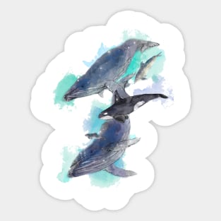 Star Whales Sticker